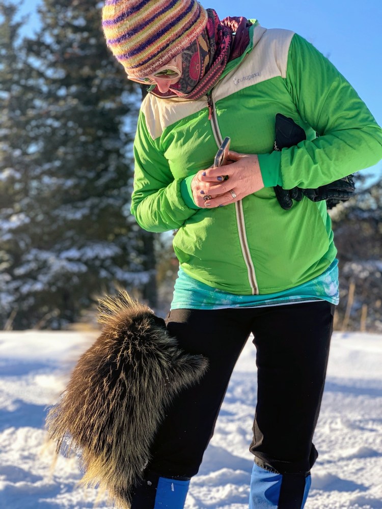 a yearling porcupine crawling up my leg